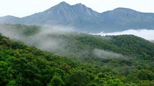 Apartamento Highland - Anaikatti