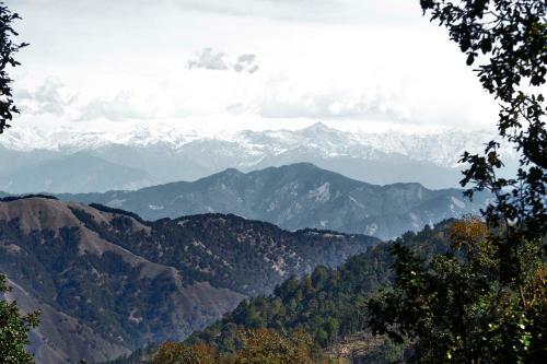 The Goat Village Nag Tibba