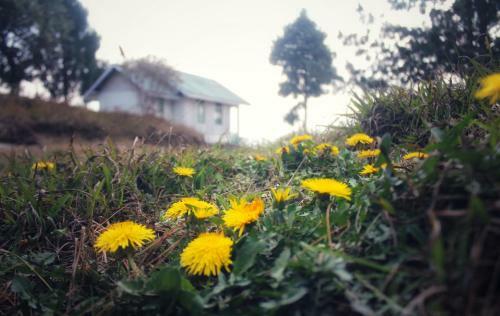 Hotel Neora Valley Retreat