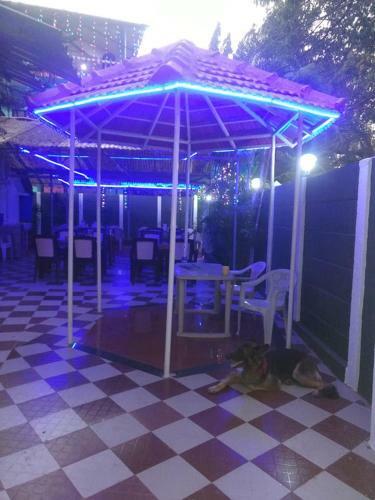 Hotel Dolphin House Beach Resort