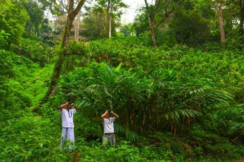 Hotel Kaivalyam Wellness Retreat