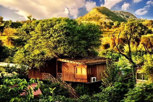 Hotel The Tree House Resort