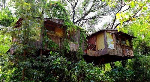 Hotel The Tree House Resort
