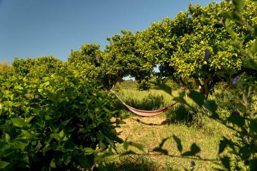 Hostal Naturarte Campo