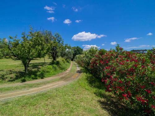 Locazione Turistica Podere Le Valli