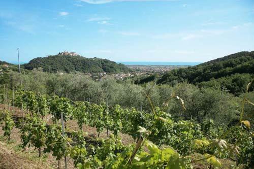 Agroturismo La Sarticola