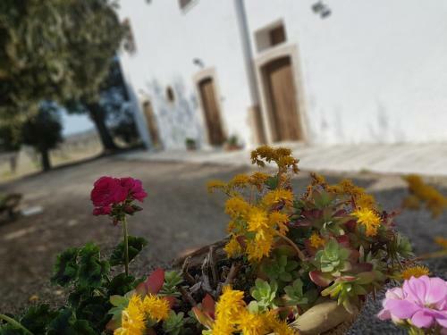 Agroturismo Agriturismo Masseria Mascitelli