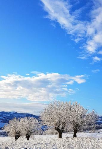 Bed & Breakfast Villa La Palazzina