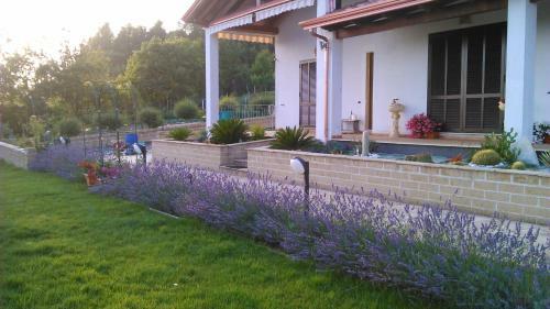 Villa Panorama