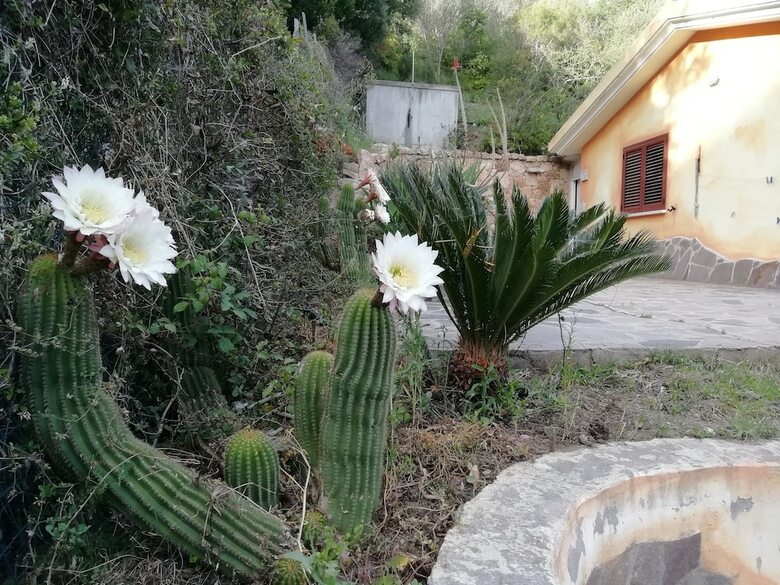 Hostal In Campagna Da Nino