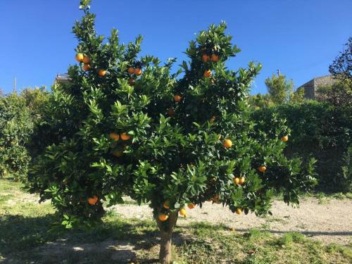 Agroturismo Tenuta Lanza Il Mulino