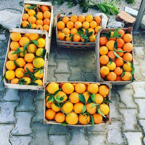 Agroturismo Tenuta Lanza Il Mulino
