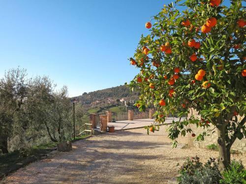 Apartamento Locazione Turistica Casale Della Croce (Toi131)