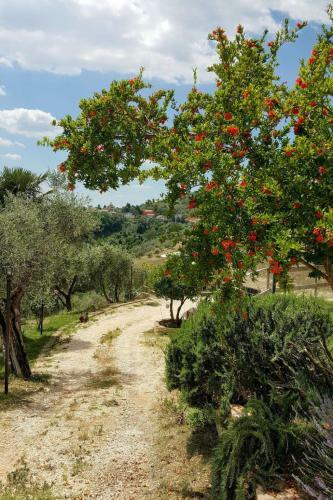 Apartamento Locazione Turistica Casale Della Croce (Toi131)