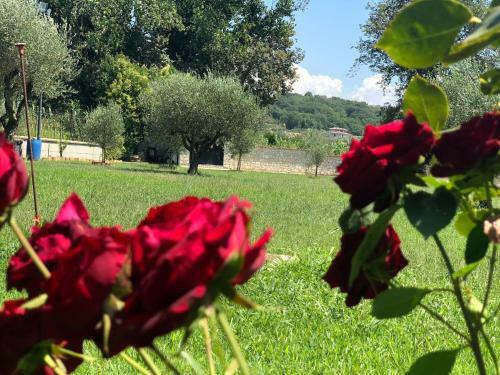 Hotel Tenuta Ferrara