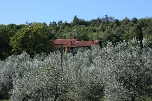 Santa Barbara-miniera Villa Sleeps 12 Pool Wifi