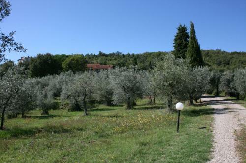 Santa Barbara-miniera Villa Sleeps 12 Pool Wifi