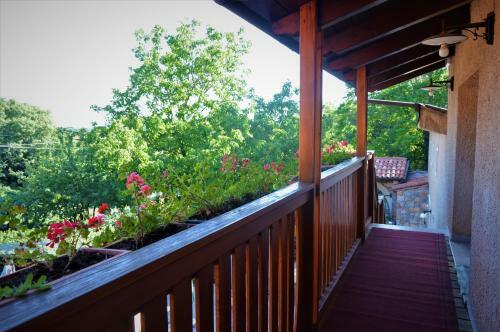 Agroturismo Colja Jozko Farm Stay