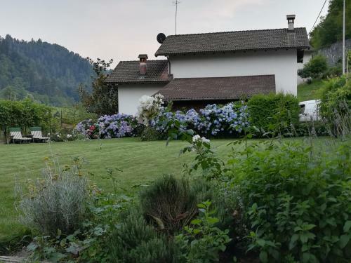 B&B Oltra