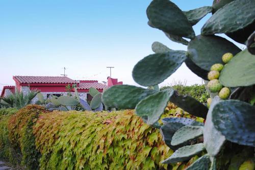 Holiday Home Granelli - Isi02273-f