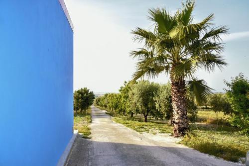 B&B L'uliveto