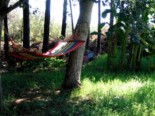 Agroturismo B&B Apricot