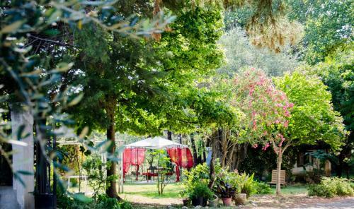 Agroturismo B&B Apricot