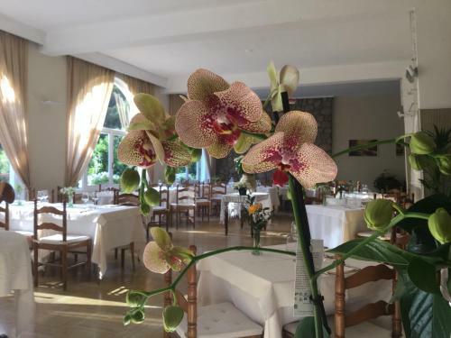Hotel Ristorante Tipico Terme