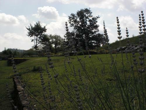 Agroturismo Agriturismo Campo Del Pillo