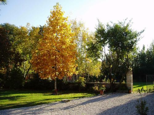 Bed & Breakfast Borgo Palazzo Steffaneo