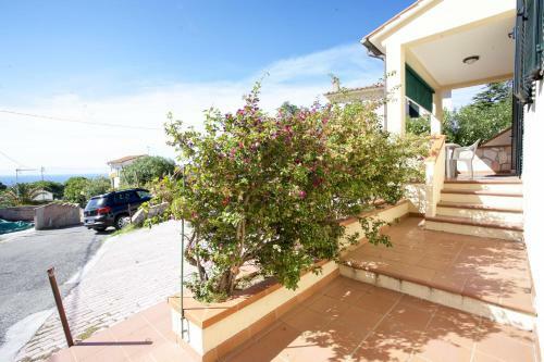 Apartamento Appartamenti La Bougainvillea