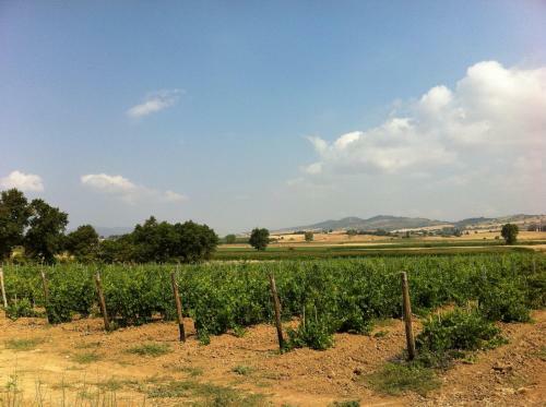 Agroturismo Agriturismo Al Girasole