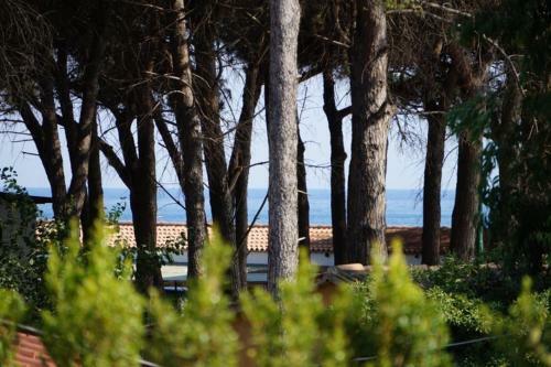 Hostal Lvresidence Roccelletta