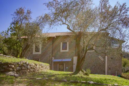 Agroturismo Agripodere Il Falco