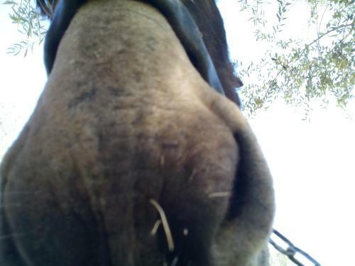 Agroturismo Agriturismo Agrimilo