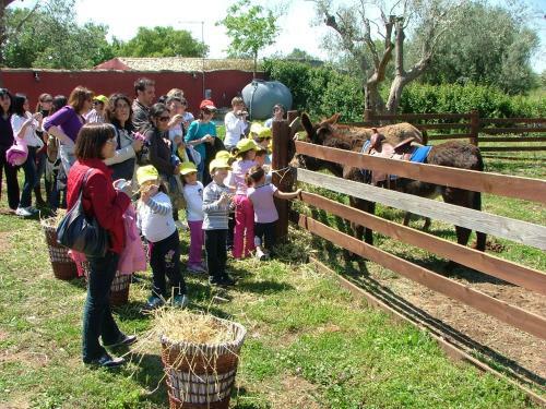 Agroturismo Agriturismo Agrimilo