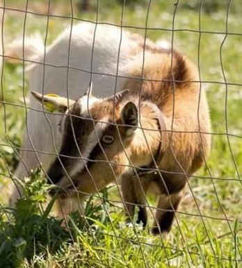 Agroturismo Agriturismo Agrimilo