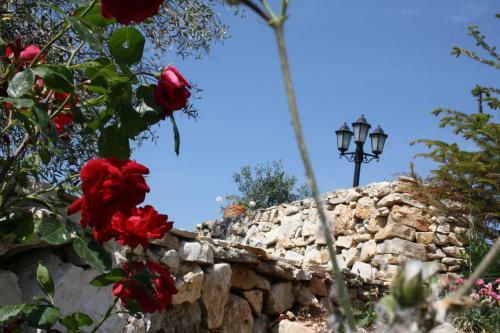 Agroturismo Torre Bruno