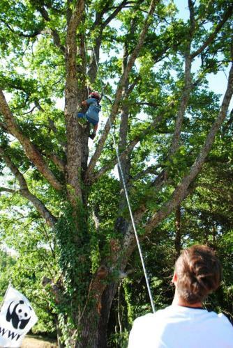 Agroturismo Borgo Cerquelle