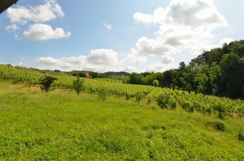 Il Sogno Tra I Vigneti