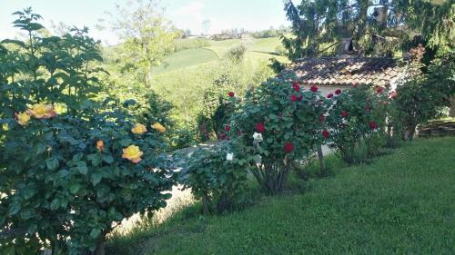 Cascina Recarano