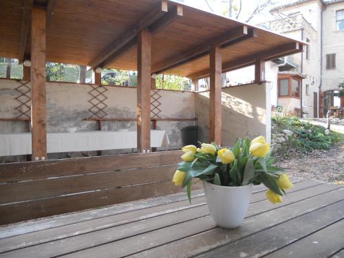 Agroturismo Agriturismo Il Palmarone