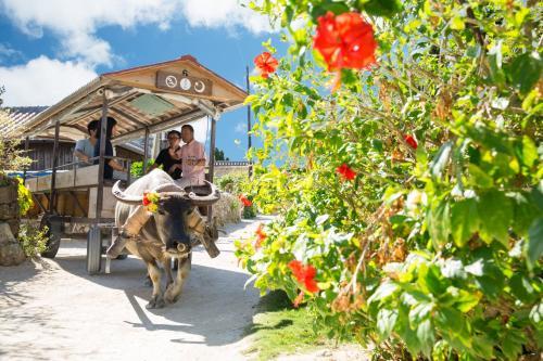 Hotel Hoshinoya Taketomi Island