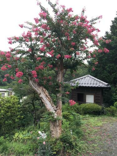 Hostal Kougetsu Sanso -- Moon Villa In Tokyo