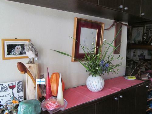 Hostal Guest House Chara