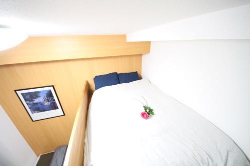 Fuji Inn 400 Apartment,motomachi A