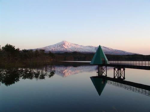 Chokai Sarukuraonsen Hotel Foresta Chokai