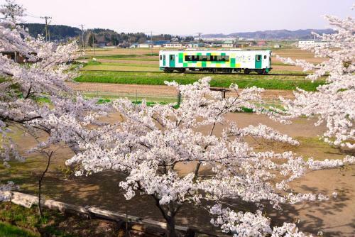 Chokai Sarukuraonsen Hotel Foresta Chokai