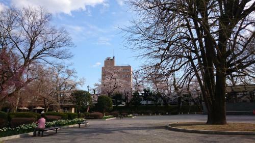 Hotel Wakasa