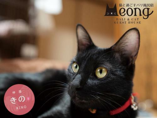 Hostal Bali & Cat Guest House
